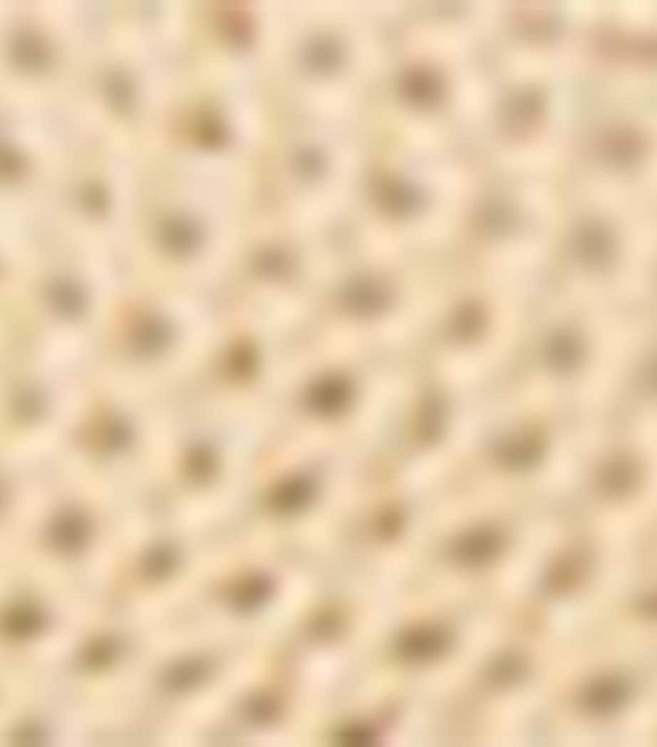 Mesh Astred Flat Espadrilles LUX CREAM/RL GOLD Image 3