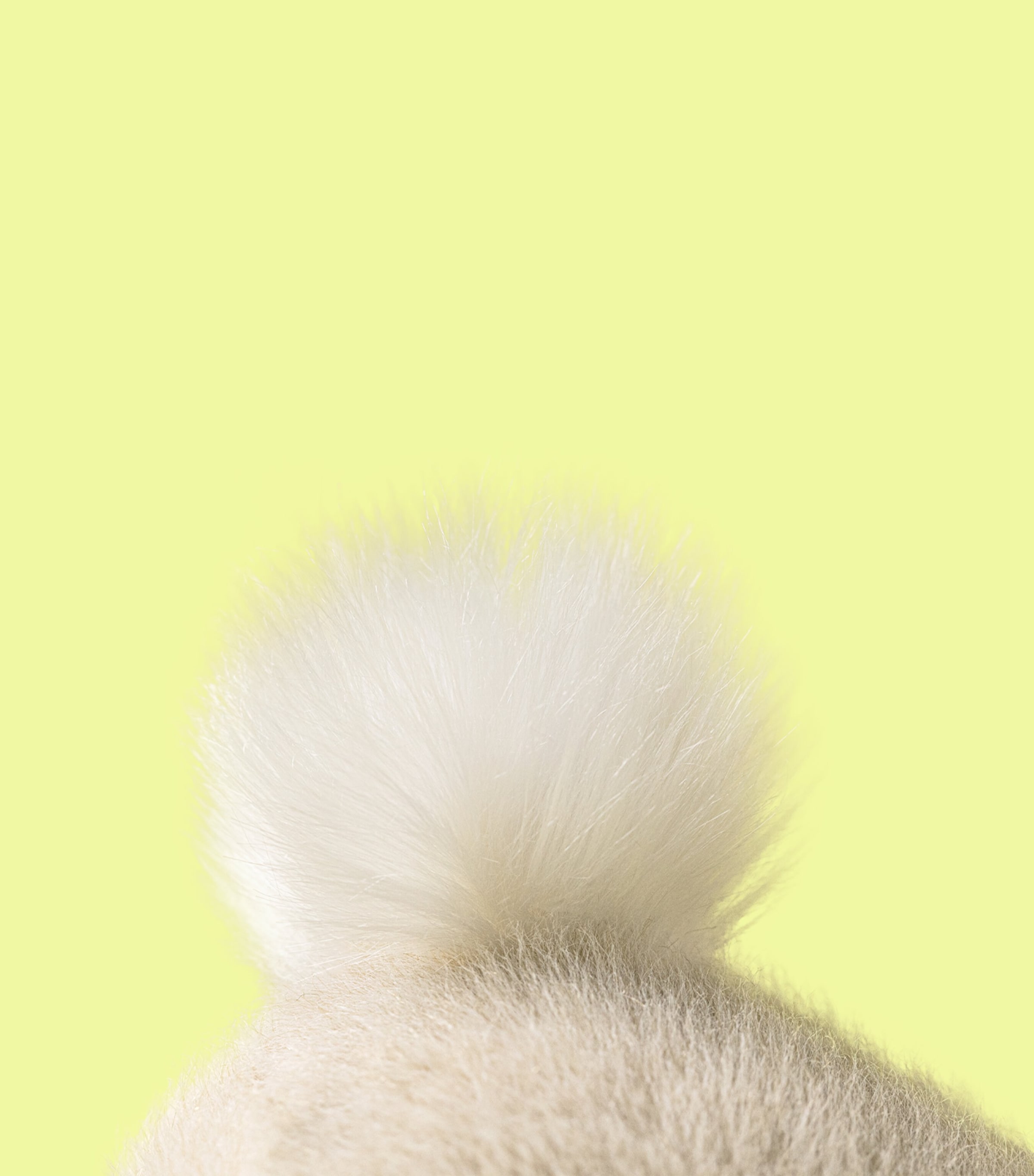 Jellycat Little Wheat Flufflet Bunny (18cm) Image 5