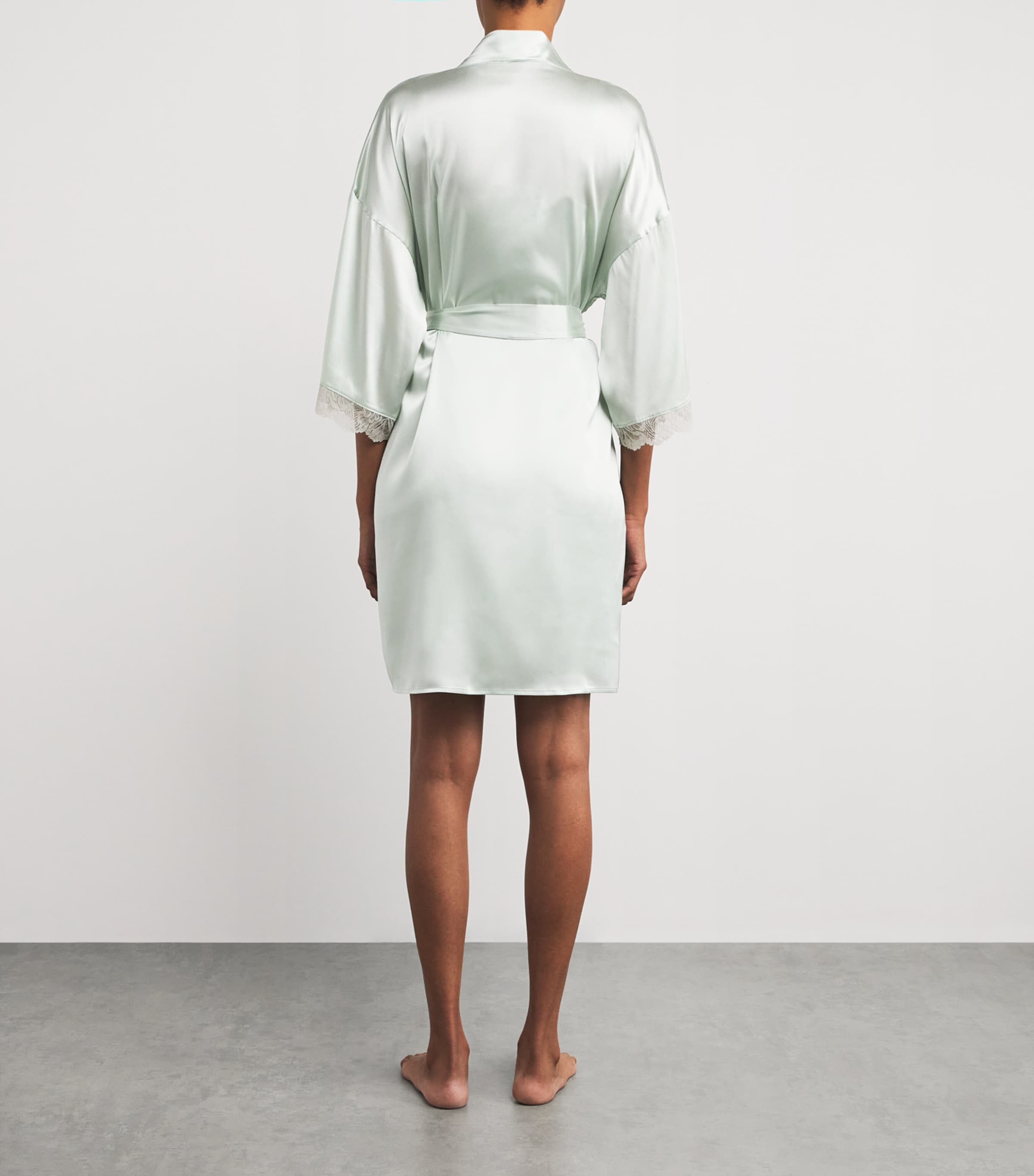Hanro Silk Lace-Trim Robe | Women Clothing | Nightwear | Dressing Gowns | Designers | Hanro Hanro Silk Lace-Trim Robe | Women Clothing | Nightwear | Dressing Gowns | Designers | Hanro