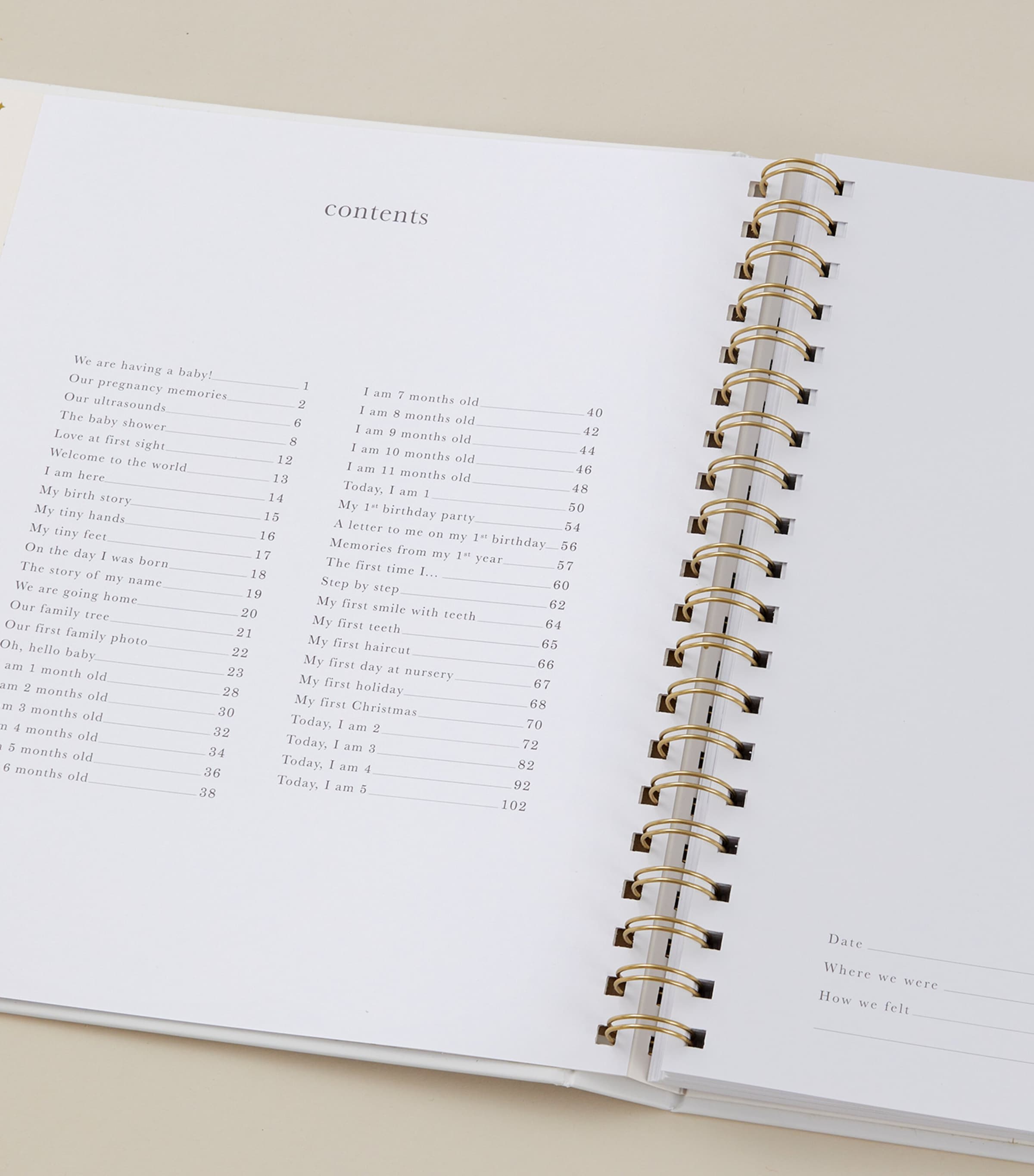 Blush and Gold Safari Baby Memory Book Ivory/beige, Gold Image 5