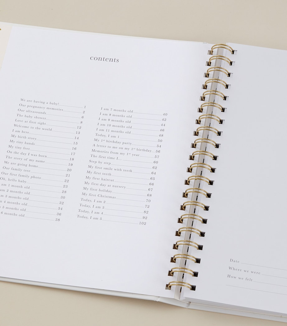 Blush and Gold Safari Baby Memory Book Ivory/beige, Gold Image 5
