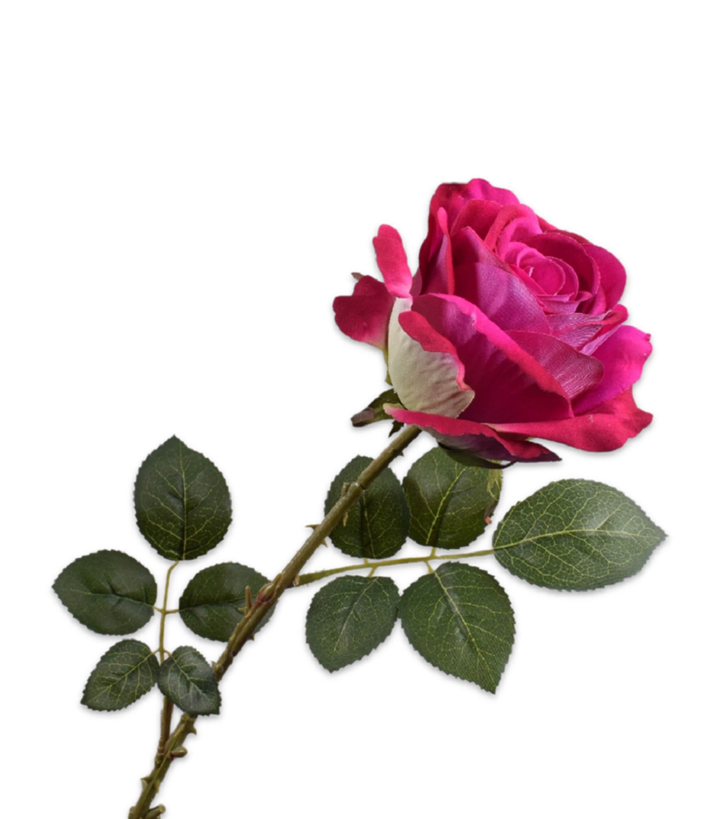 Silk-ka Artificial Rose Flower In Red