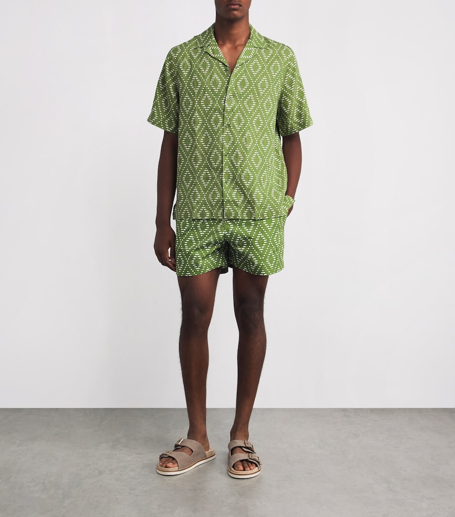 Raffia Angra Rio Swim Shorts 879 PARAKEET GRN IVO Image 2