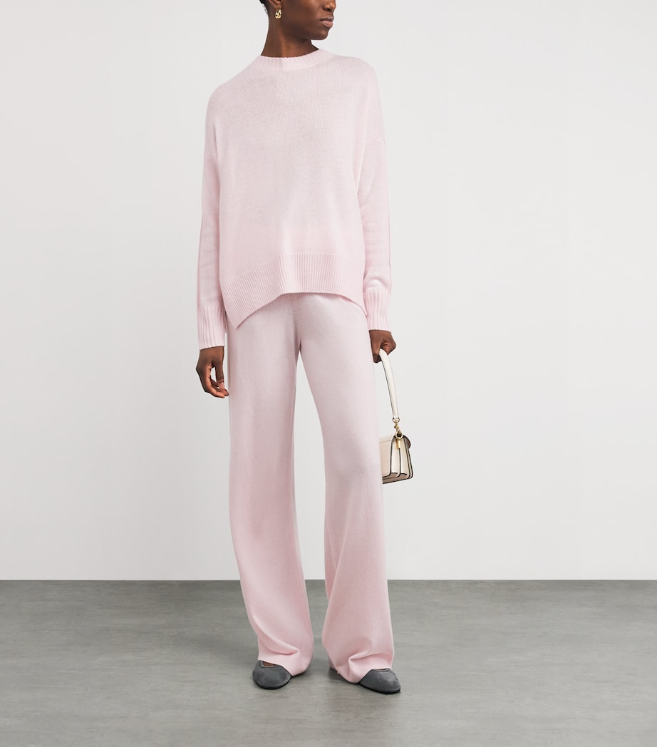 Virgin Wool-Cashmere Straight Trousers 60/60 PINK Image 2