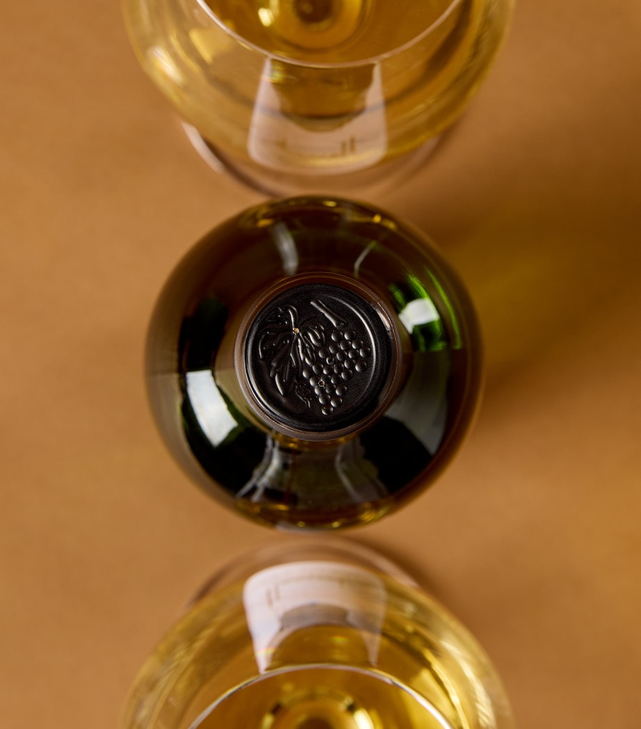Harrods Sauvignon Blanc Wine Case (12 Bottles) - Bordeaux, France White Image 4
