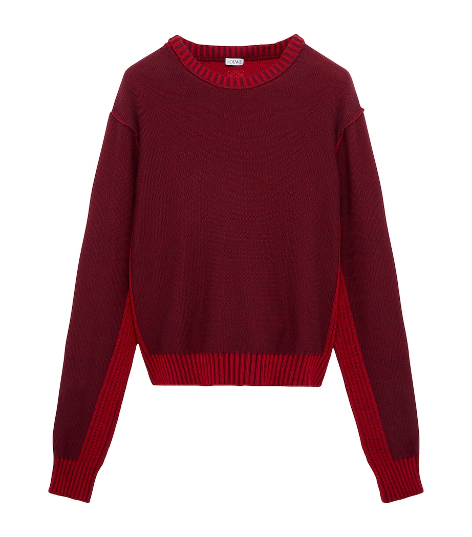 LOEWE Mens Anagram Sweater Burgundy/red Image 1