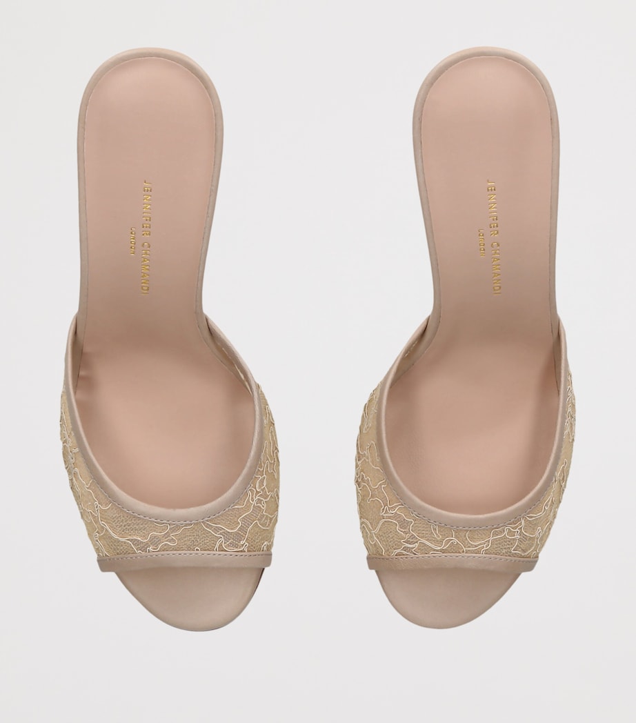 Jennifer Chamandi Lace Guido Mules 85 Champagne Image 4