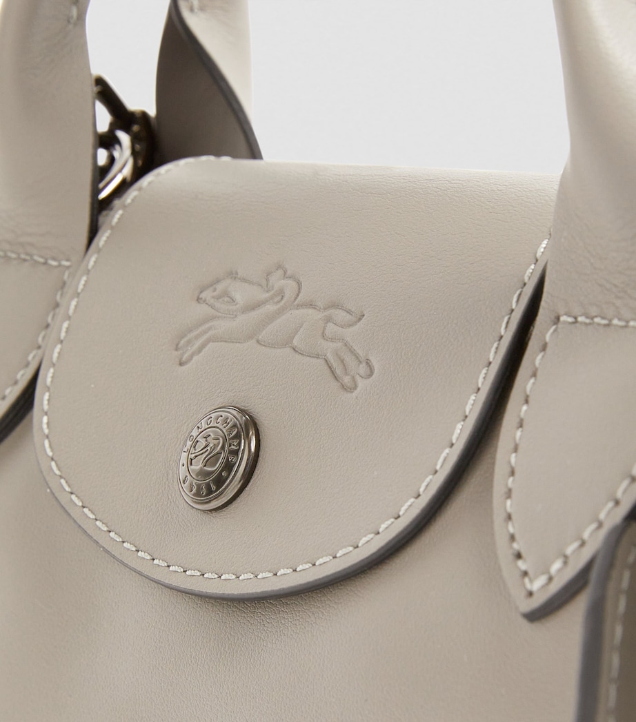 Extra-Small Leather Le Pliage Xtra Handbag P55 TURTLEDOVE Image 7