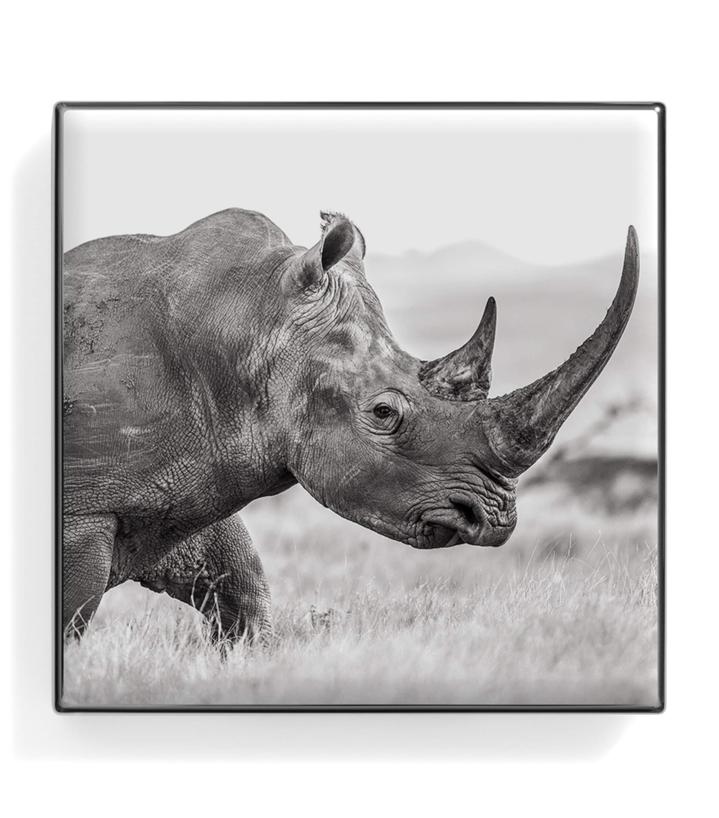 Luminous Eye Shade RHINOCEROS Image 1