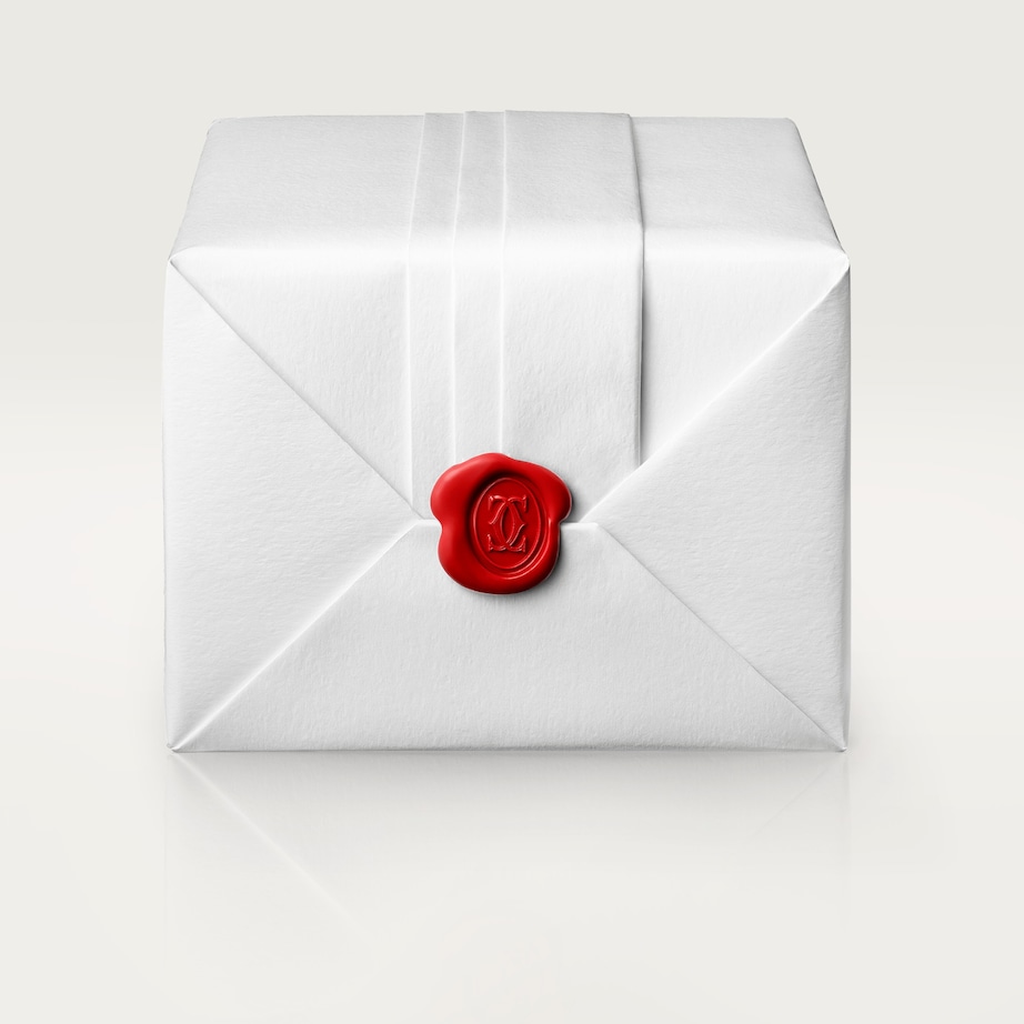 Rose Gold and Stainless Steel Santos de Cartier Watch 27.5mm SILVER Image 9