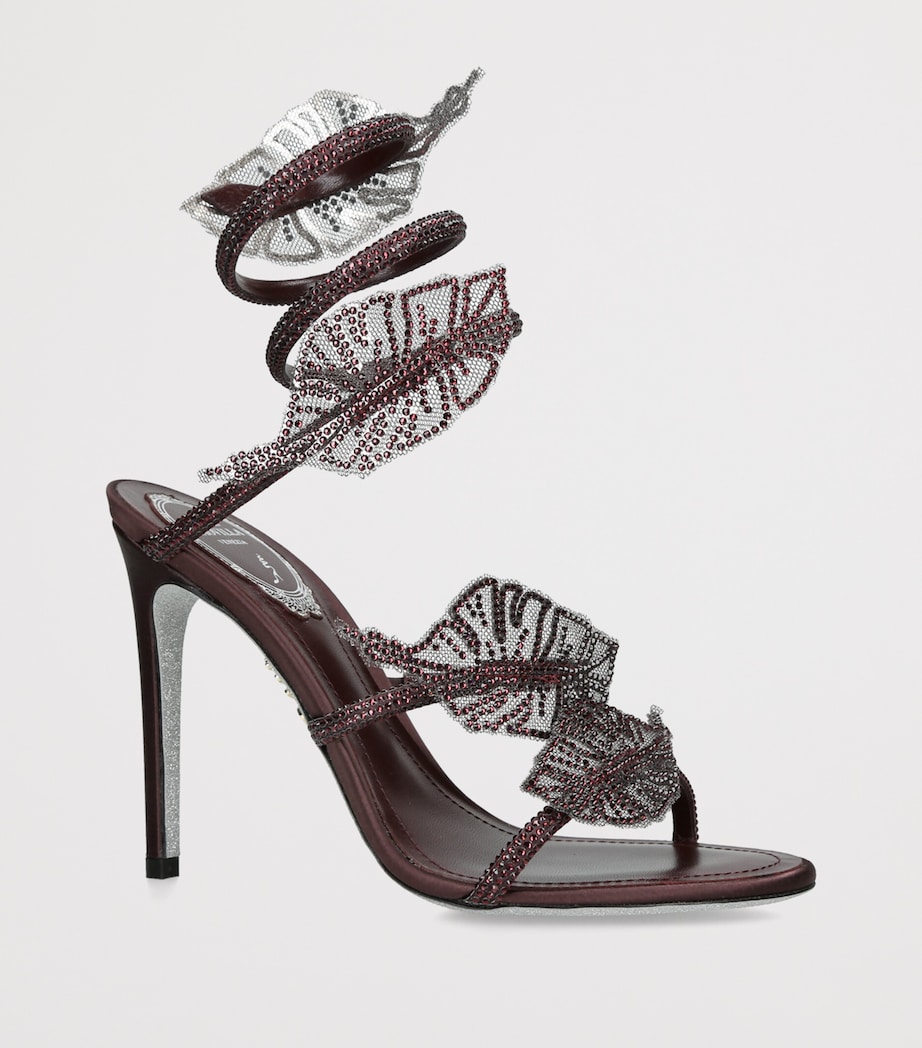 René Caovilla Embellished Cleo Sandals 105 Wine Image 3