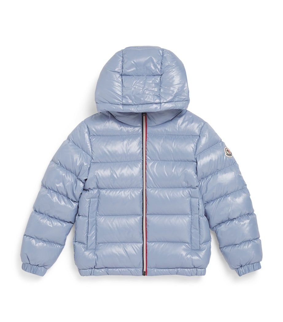 Down Aubert Hooded Jacket (8-10 Years) 715 Image 1