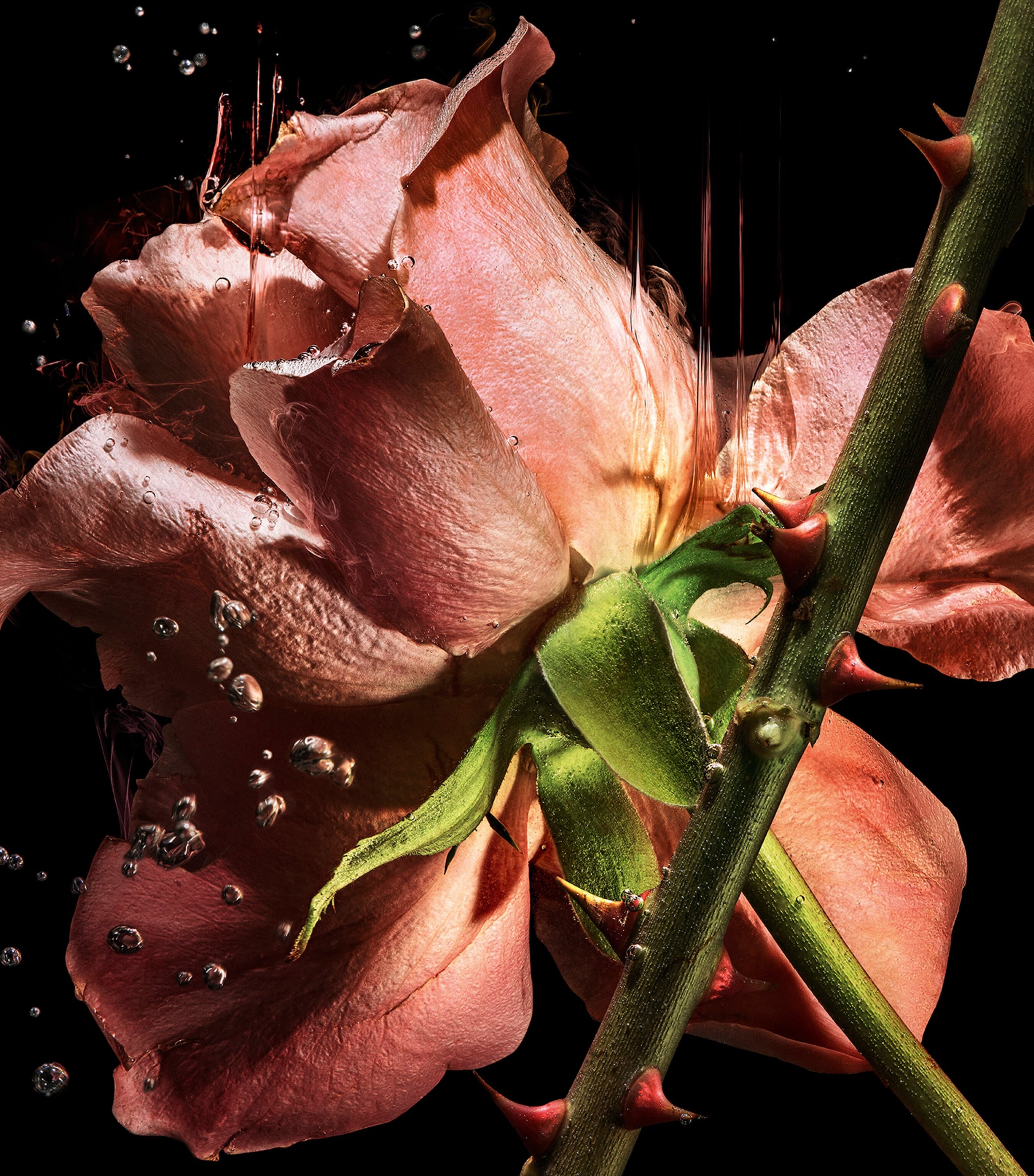 YSL Blouse 68 Rose Extrait de Parfum (50ml) Image 5
