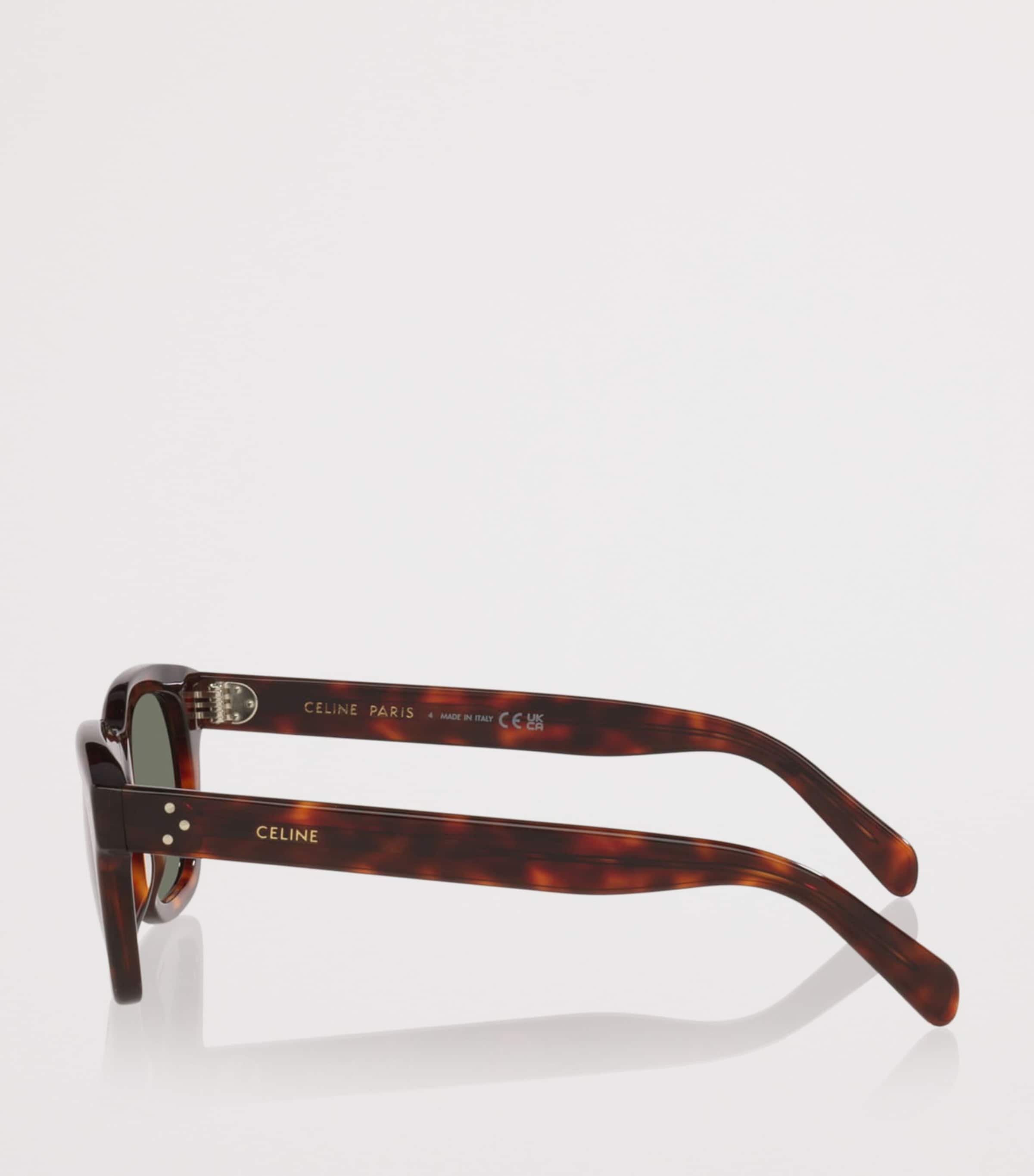 Celine Acetate 3 Dots CL40232I Irregular Sunglasses Image 3