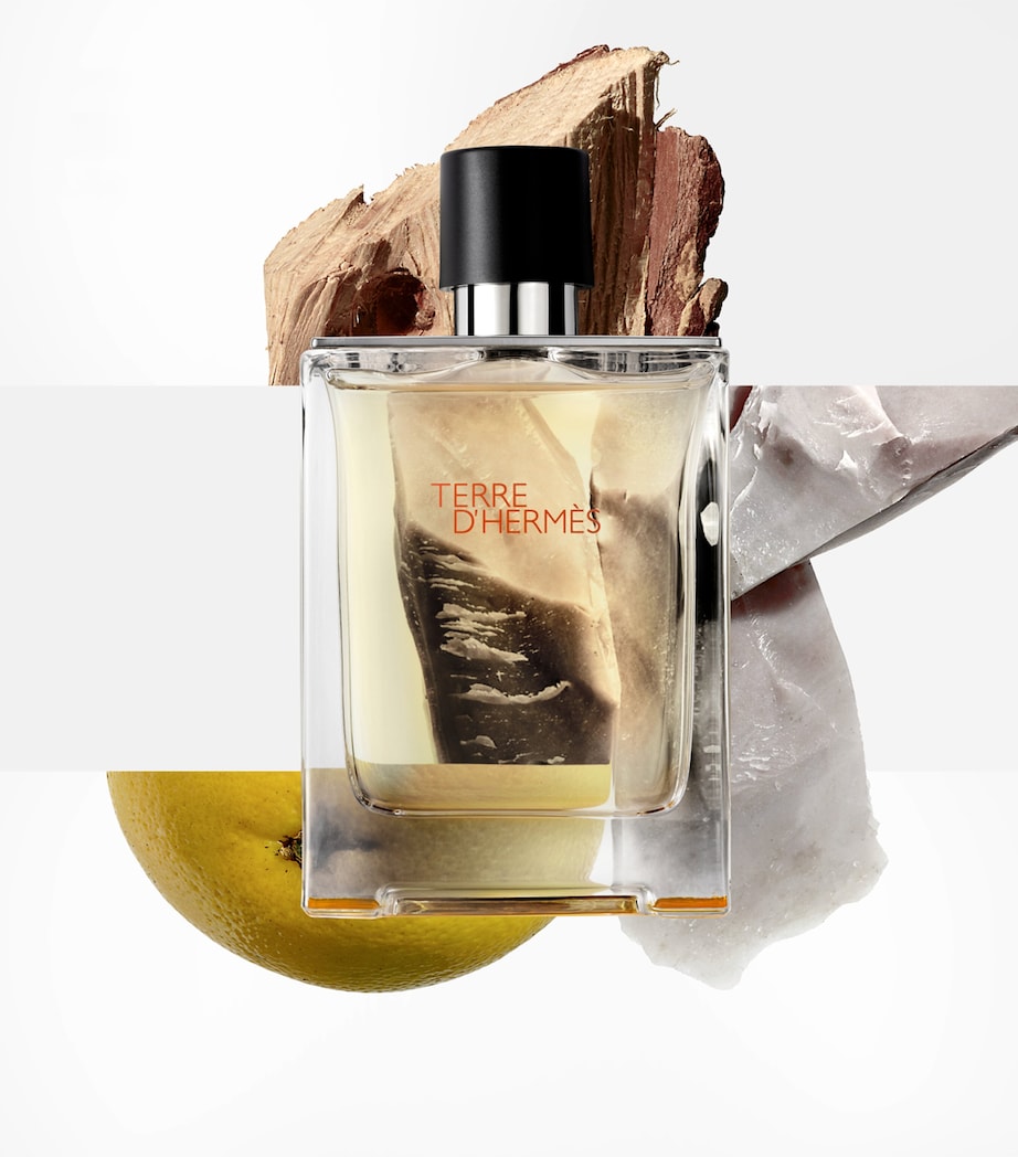 HERMÈS Terre d'Hermès Eau de Toilette (100ml) Image 3