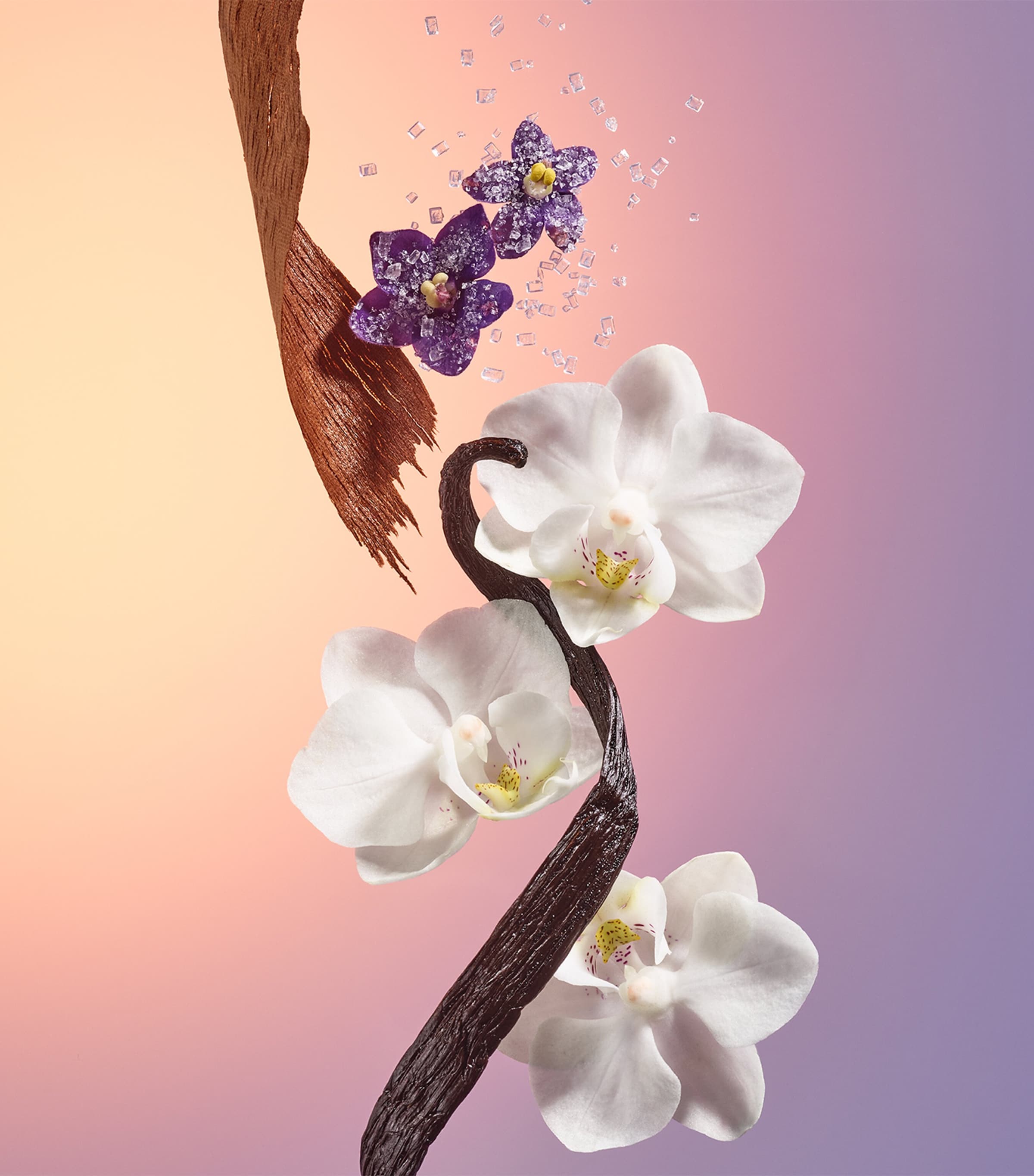 Delícia Drench Shower Oil (385ml) NO COLOUR Image 6