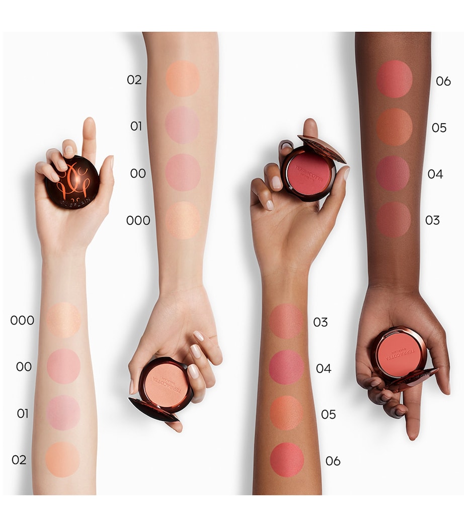 Guerlain Terracotta Blush Image 5