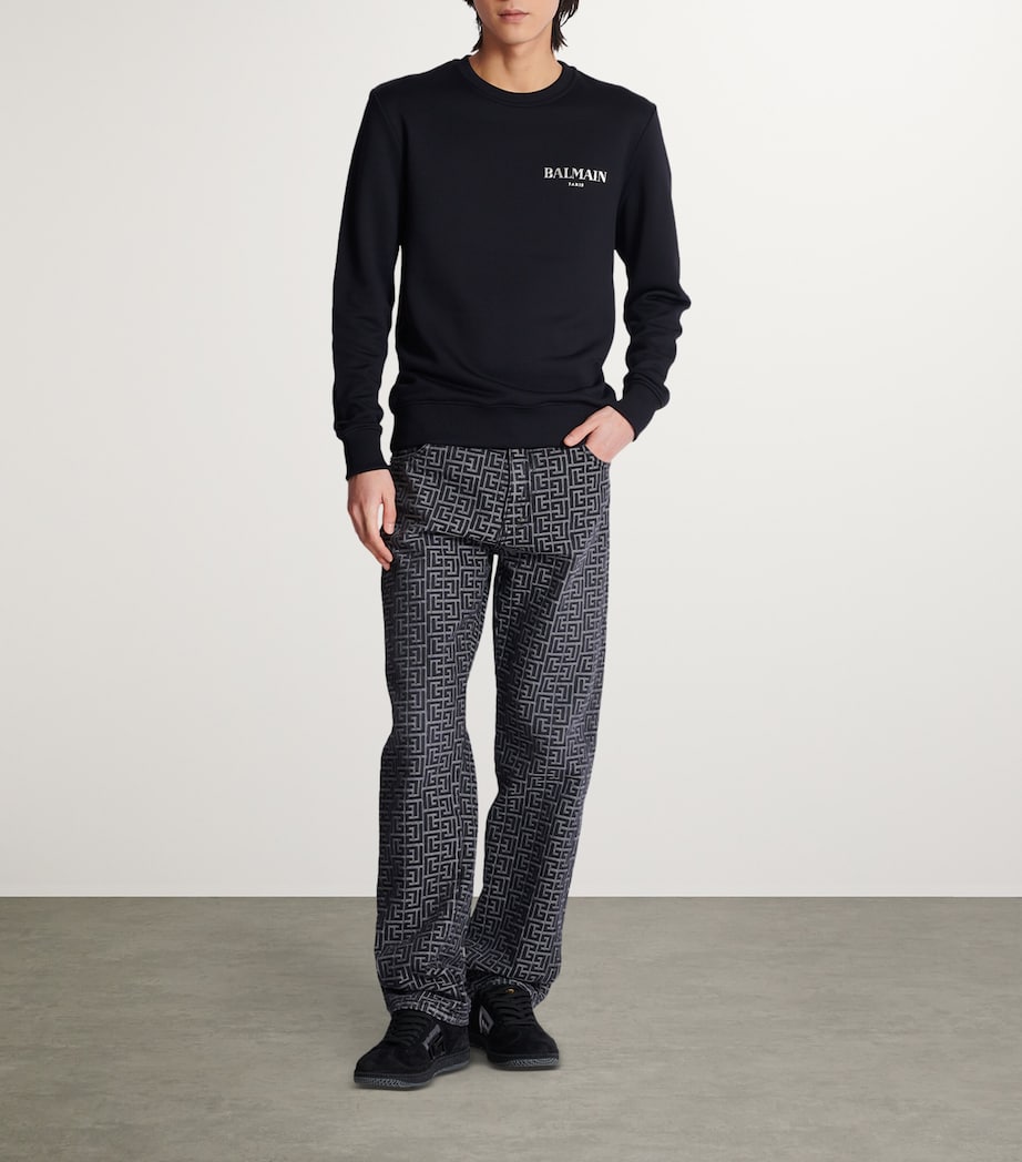 Balmain Mens Jersey Logo Sweatshirt Eac Noir/argent Image 3