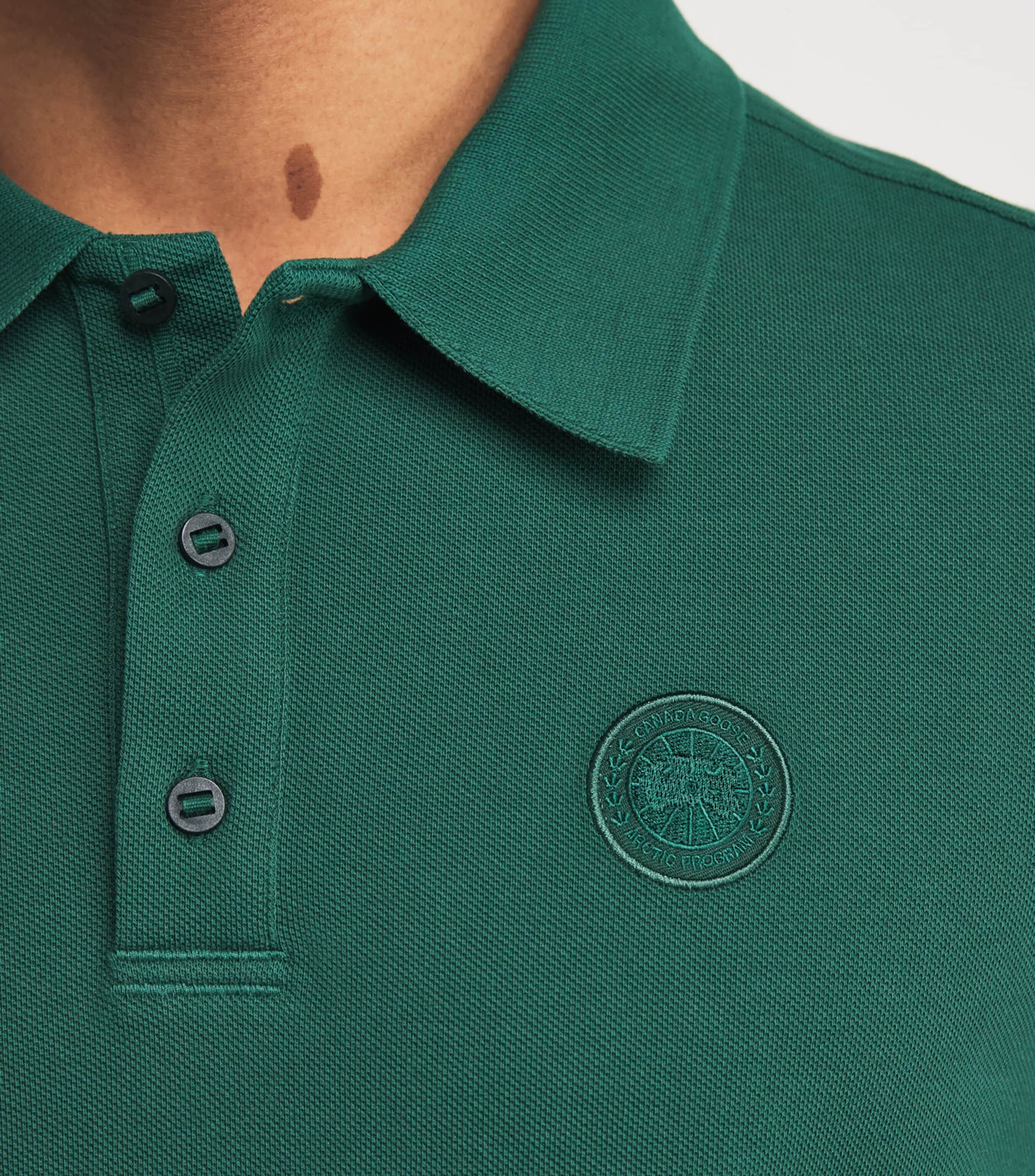 Cotton Beckley Polo Shirt GLADE GREEN 9848 Image 6
