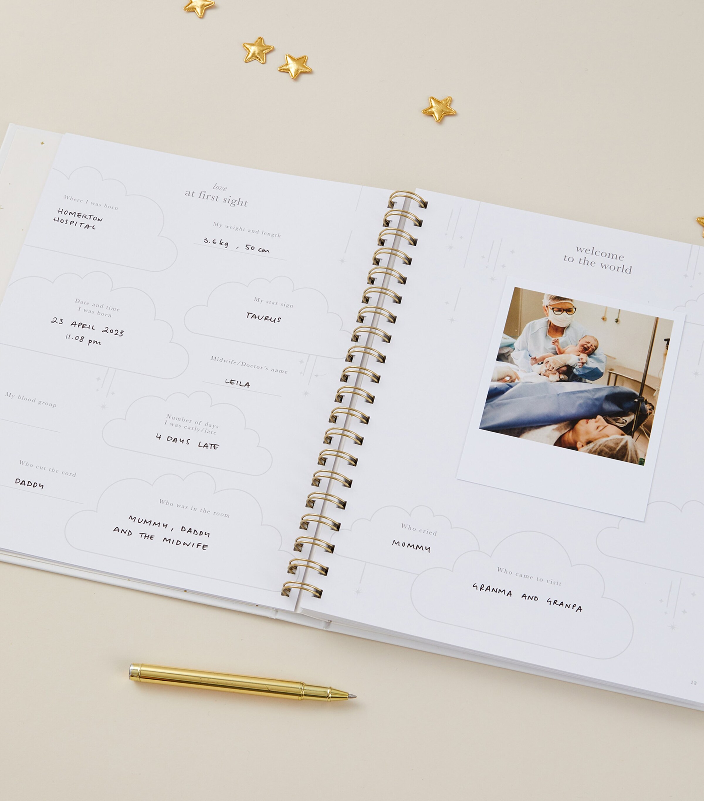 Blush and Gold My Baby Memory Book Beige, Gold Image 8