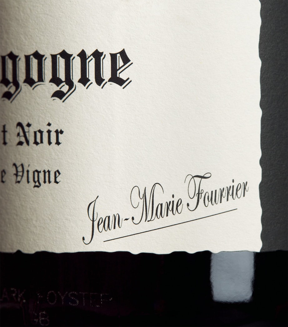 Domaine Fourrier Domaine Fourrier Bourgogne Rouge 2023 (75cl) - Burgundy, France Image 2