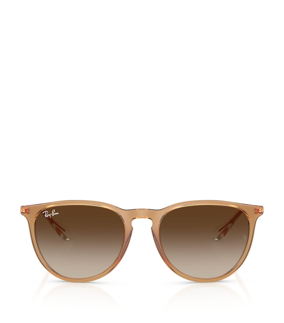 RB4171 Erika Classic Sunglasses 681413 Image 1
