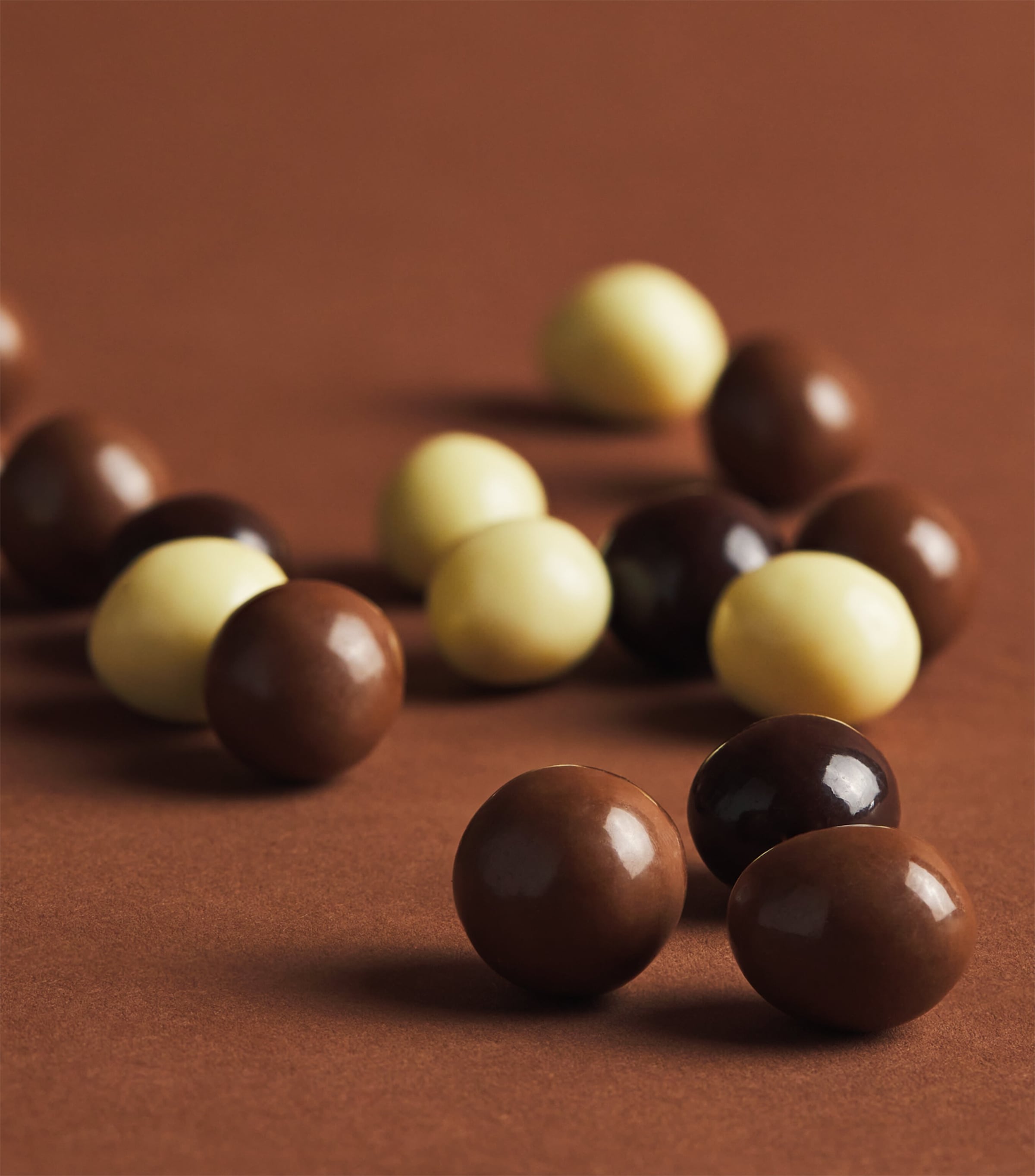 Harrods Chocolate Hazelnuts (325g) Image 3