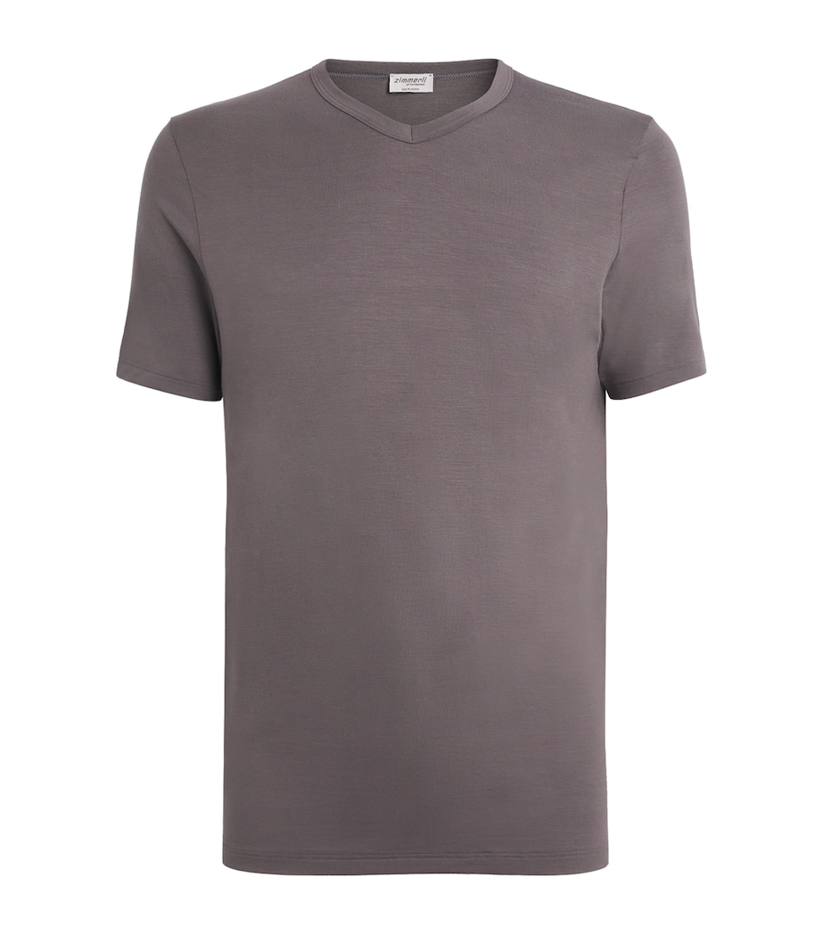 700 Pureness V-Neck T-Shirt 083 GREY SMOKE Image 1