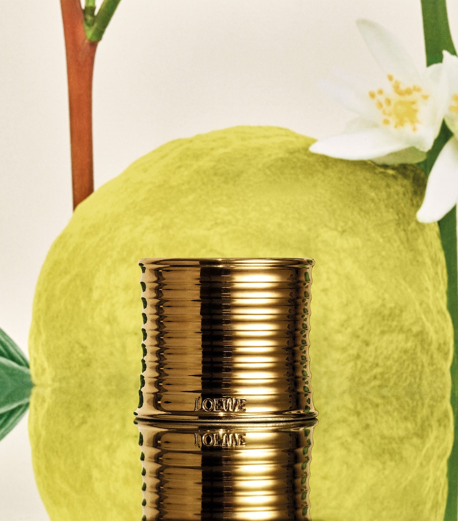 Earl Grey Scented Candle NO COLOUR Image 4