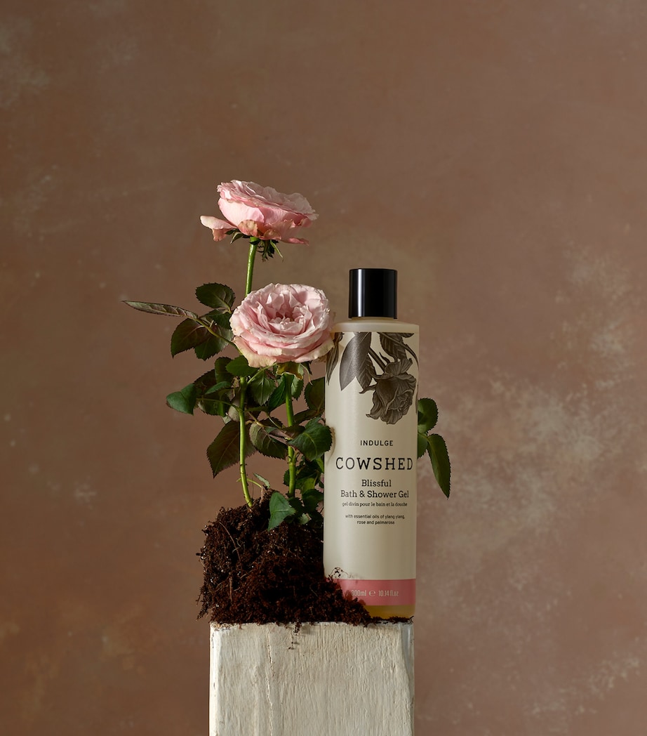 Indulge Bath and Shower Gel (300ml) NO COLOUR Image 2