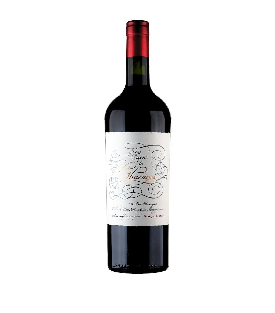 L'Esprit de Chacayes Organic Malbec 2023 (75cl) – Mendoza, Argentina RED Image 1