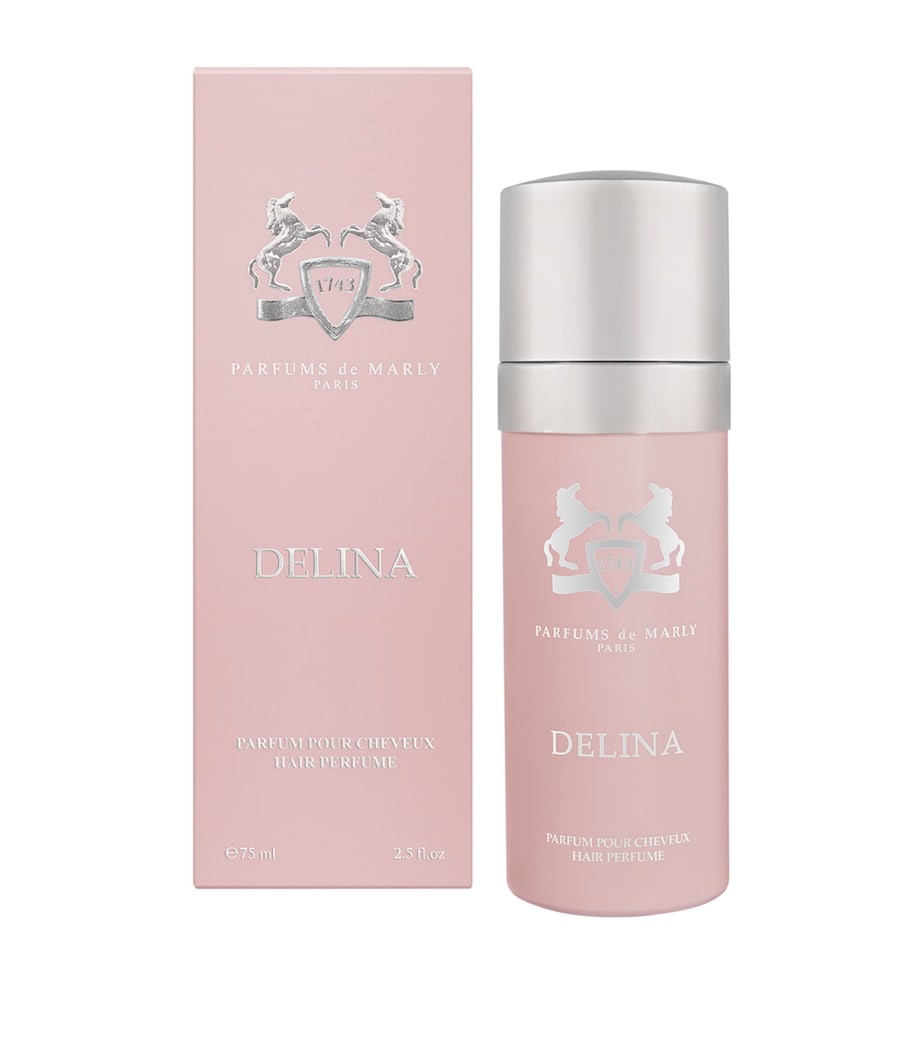 Delina Hair Mist NO COLOUR Image 1