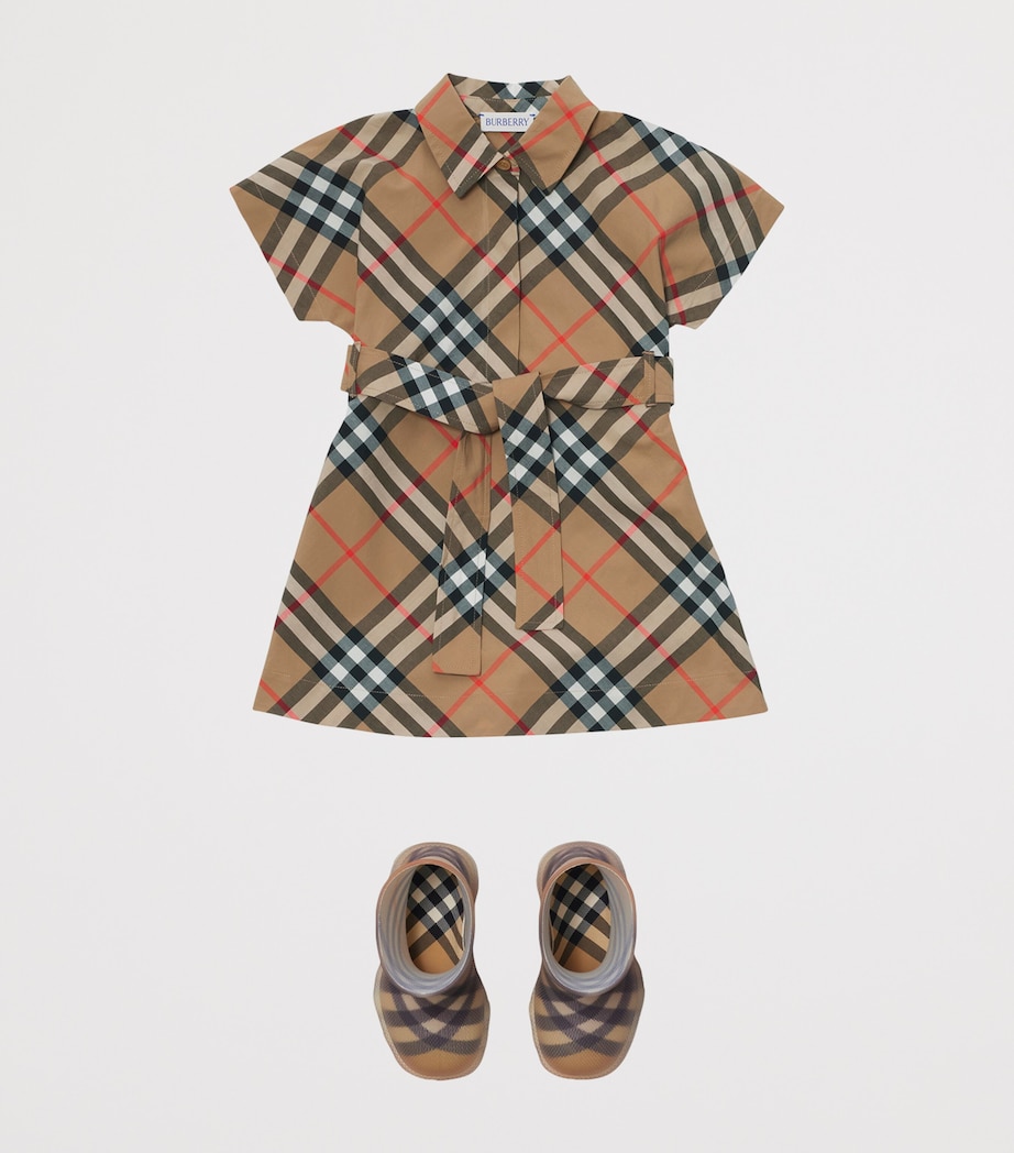 Cotton Check Shirt Dress (6-18 Months) SAND IP CHECK Image 3