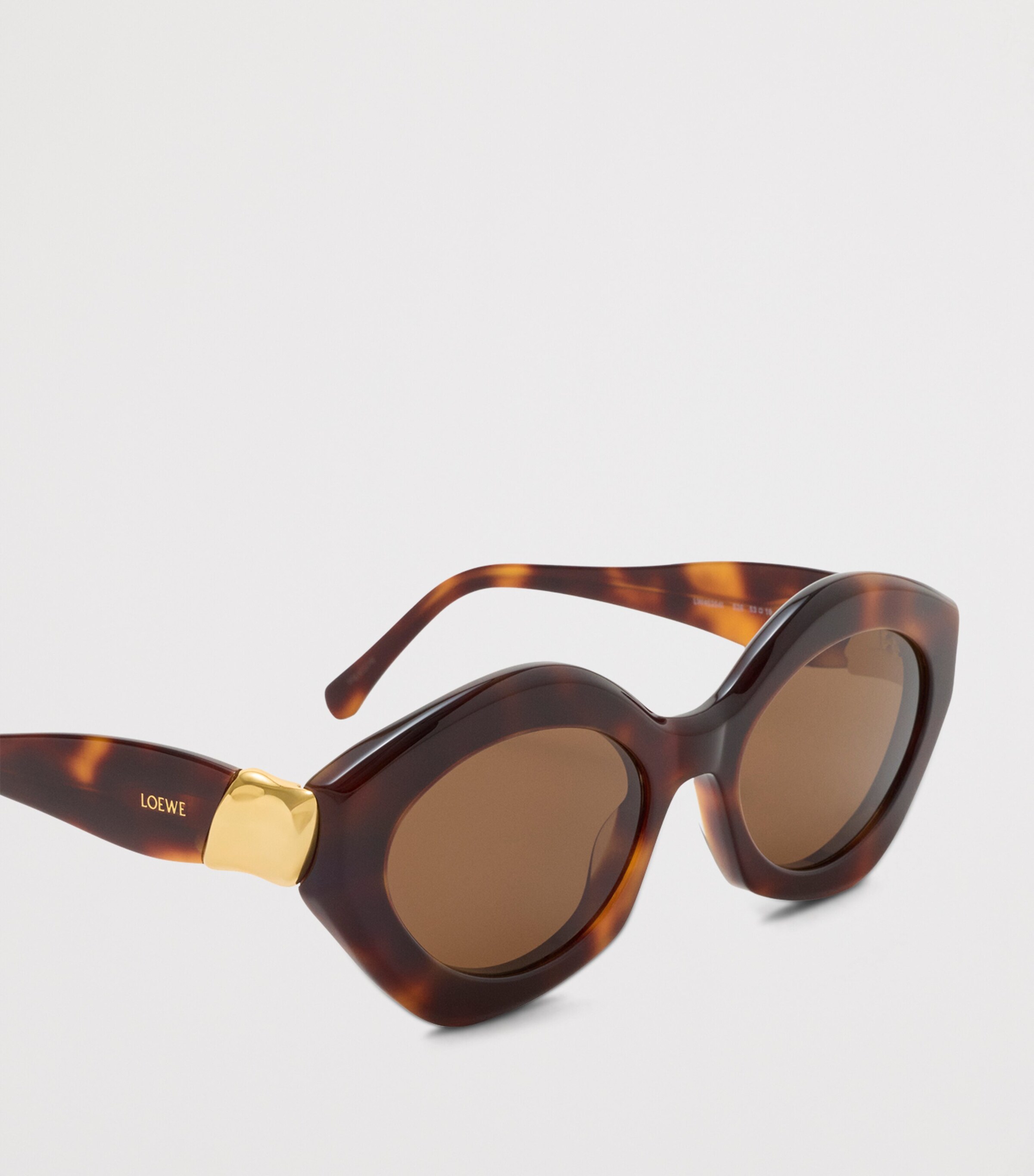 LOEWE Acetate Coil Cat Eye Sunglasses Havana Image 4