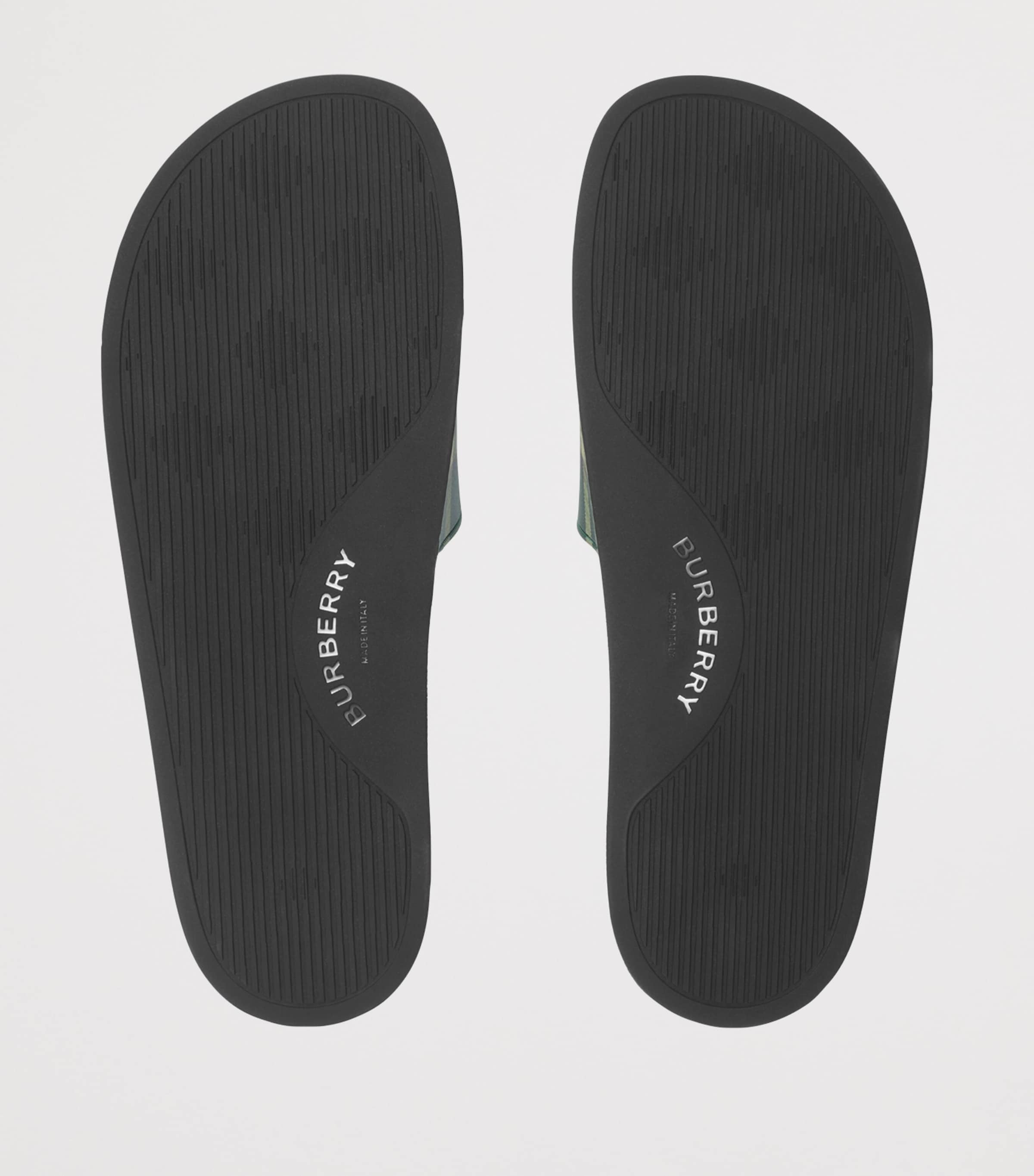 Check Slides LEAF IP CHECK Image 6