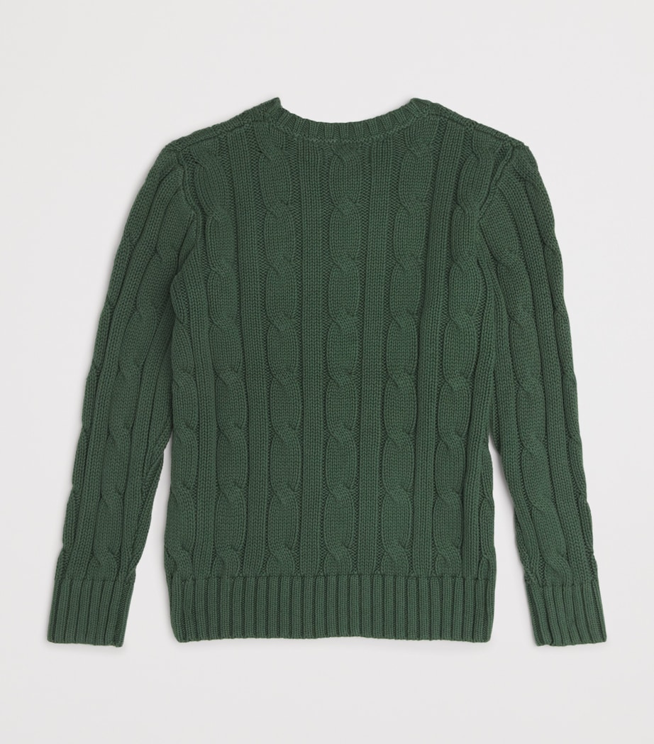 Cotton Cable-Knit Sweater (6-14 Years) GREEN Image 2