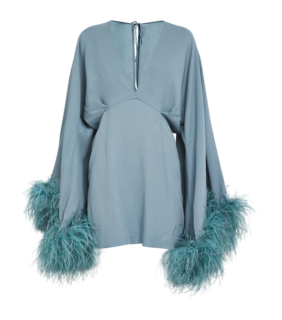 Feather-Trim Magnifique Mini Dress CLOUD Image 1