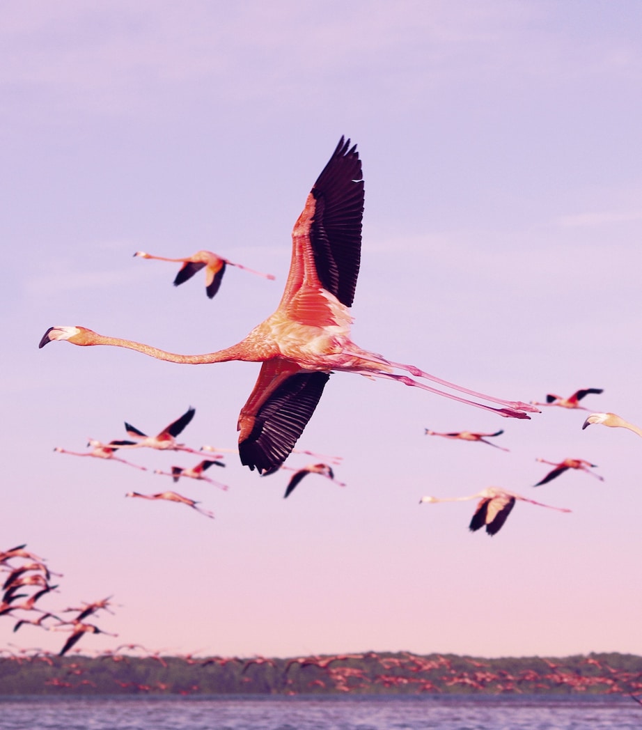 Flamingo Lip Chic Lipstick STELLA Image 2