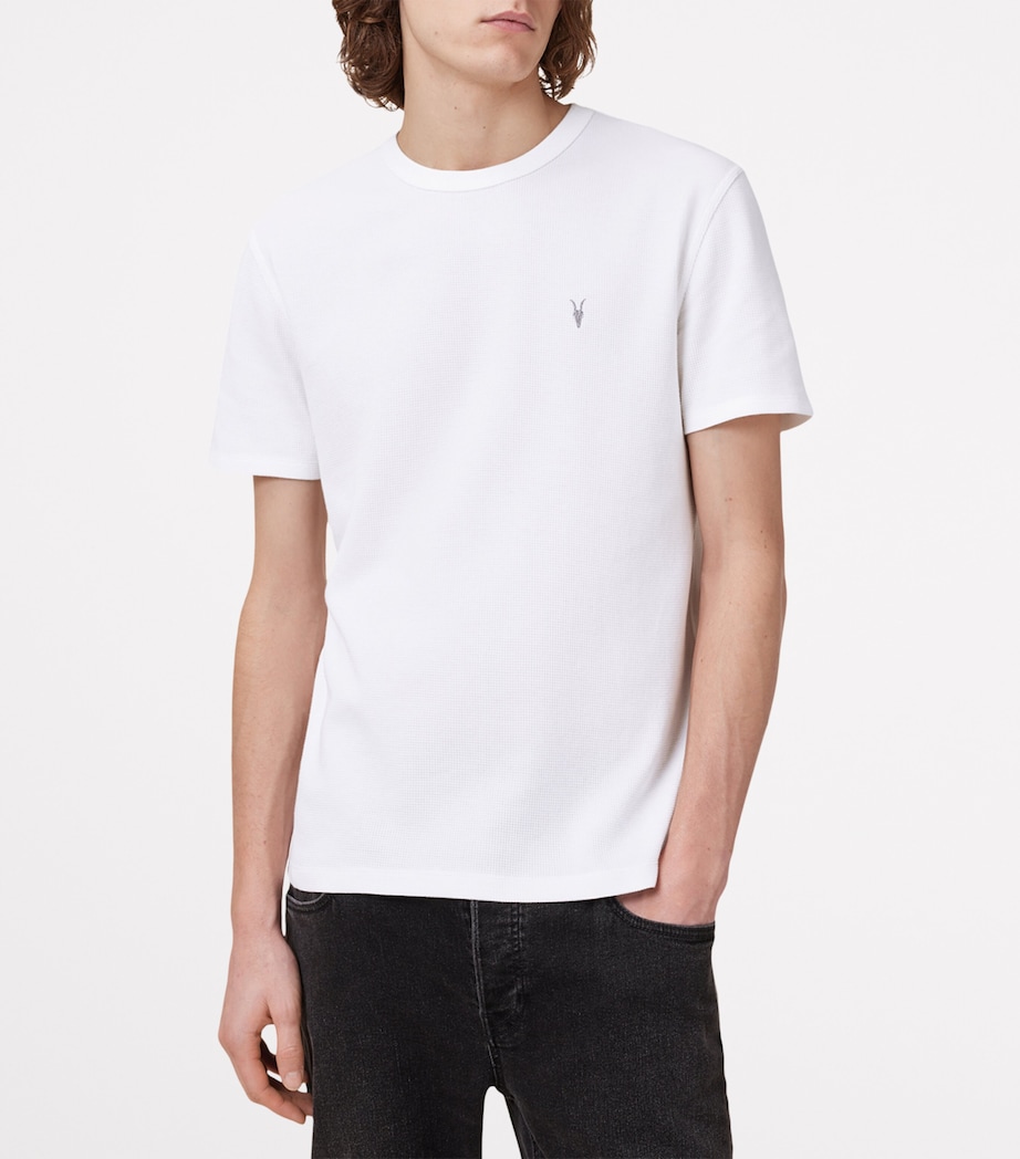 Organic Cotton Ellis T-Shirt CHALK WHITE Image 3