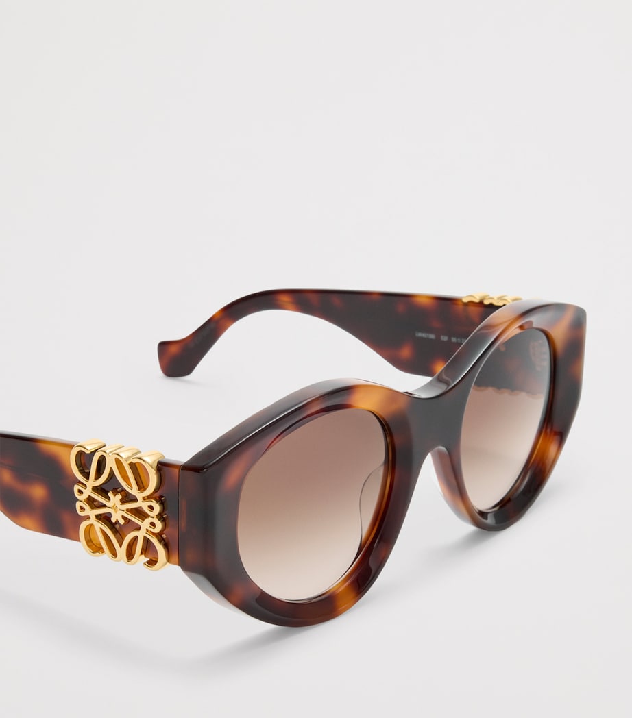 LOEWE Maxi Anagram Butterfly Sunglasses Havana Image 4