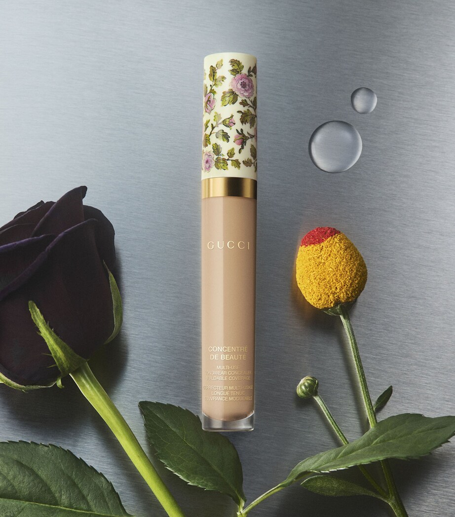Concentré De Beauté Liquid Concealer 48W Image 6