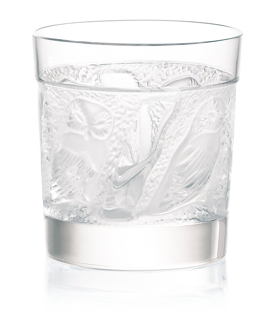 Owl Whisky Tumbler (200ml) INCOLORE Image 1