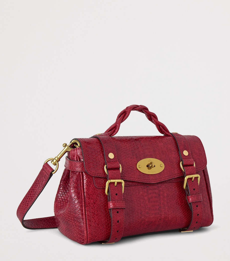 Mulberry Mini Leather Snake Print Alexa Cross-Body Bag Apple Red Image 3