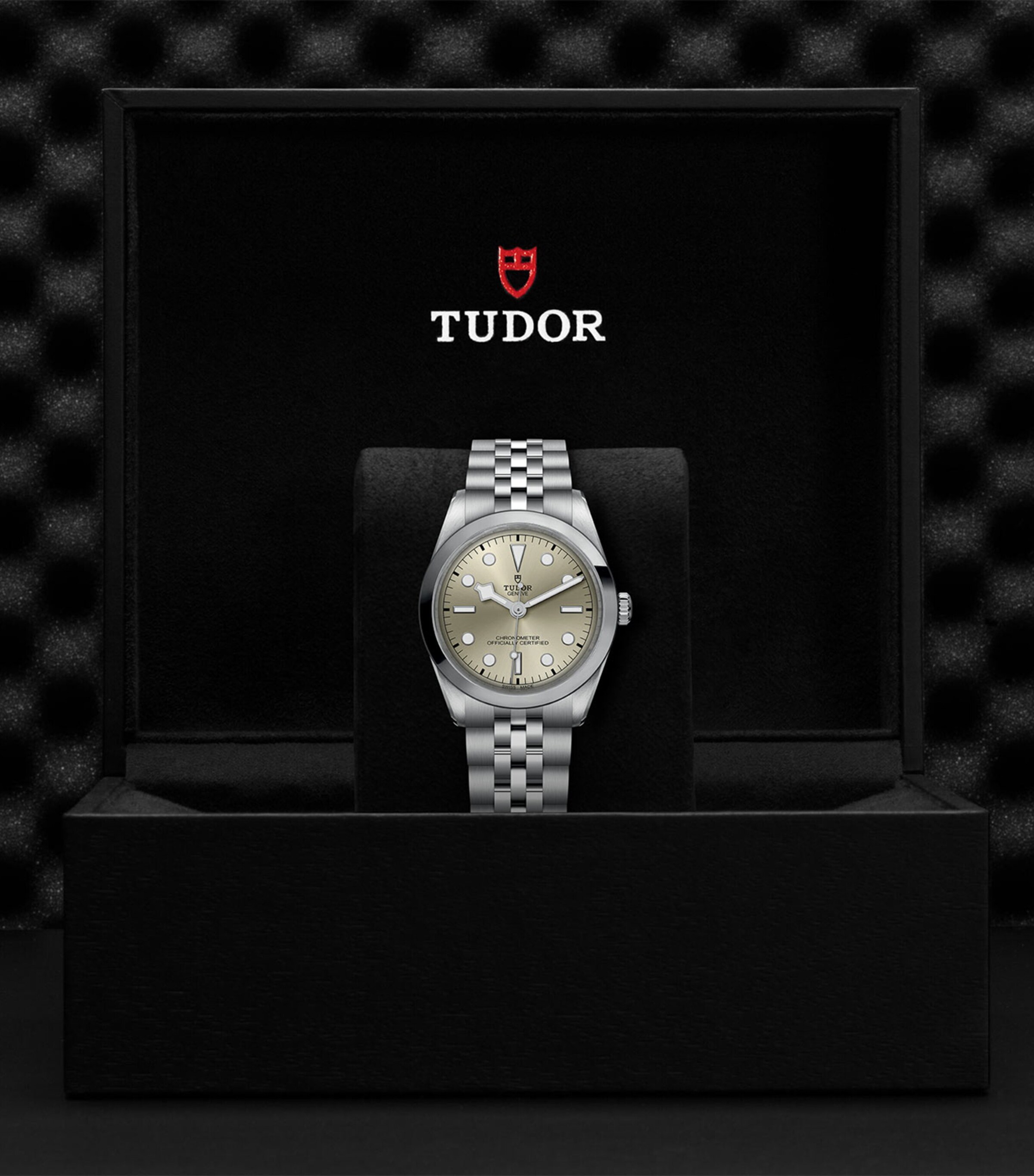 TUDOR Black Bay One Stainless Steel Watch 36mm Gold Image 5