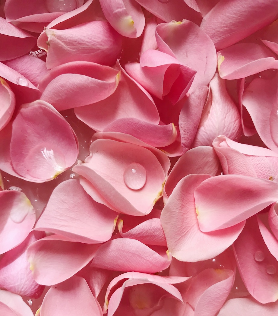 Night Eau de Parfum (30ml) NO COLOUR Image 5