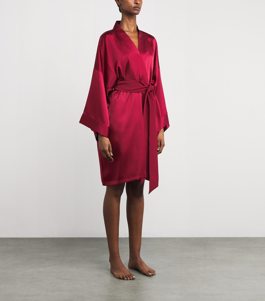 Silk Mimi Robe RUSSET Image 3