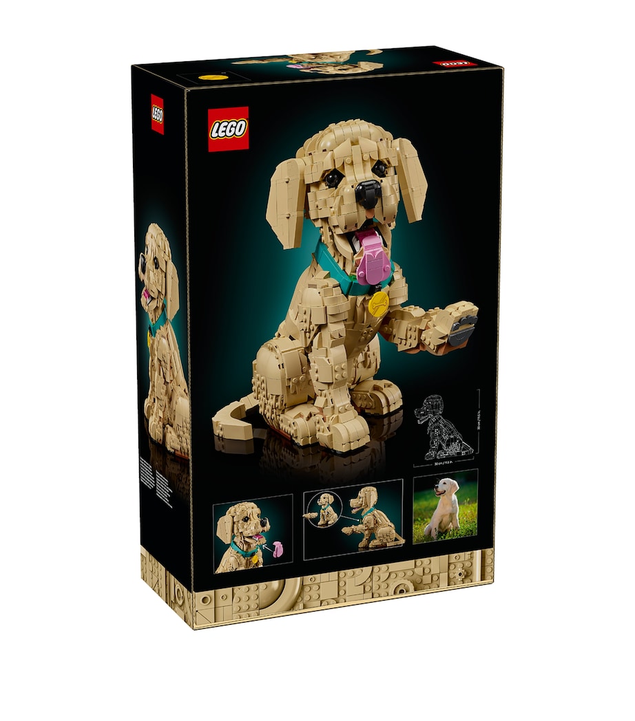 Lego LEGO Icons Golden Retriever Puppy 11384 Image 2