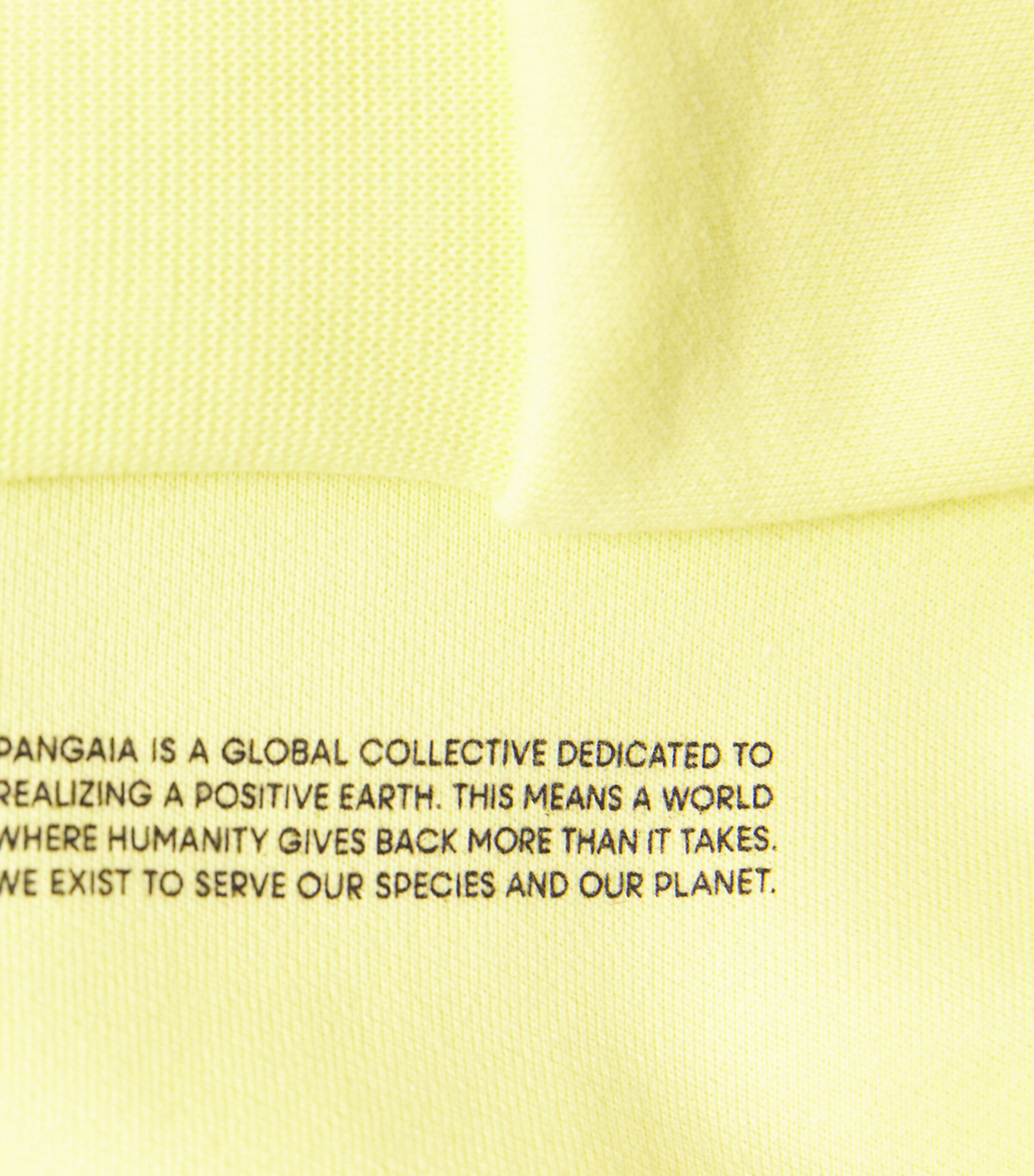Pangaia Kids Organic Cotton 365 Hoodie (3-12 Years) Lime Image 3