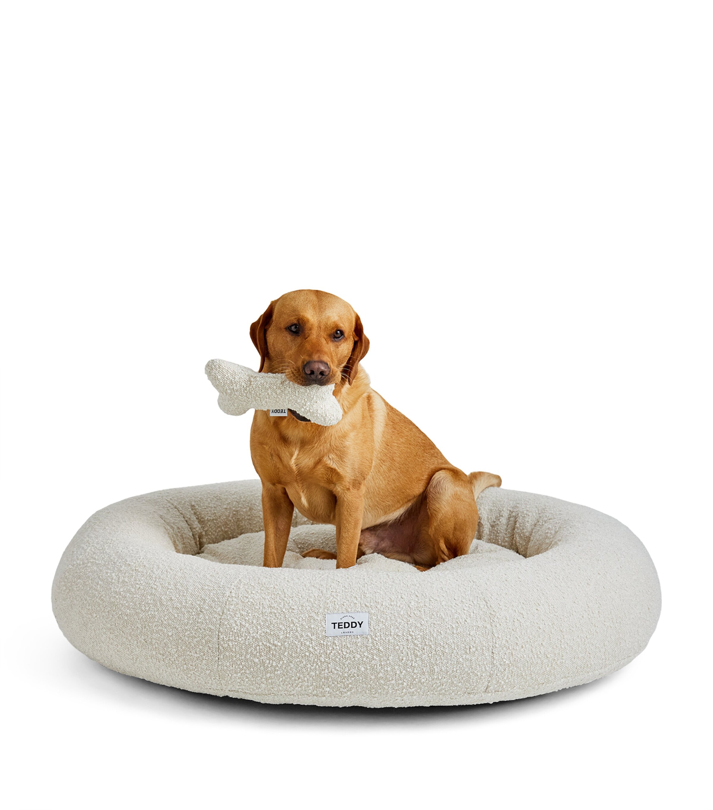 Luxury dog beds harrods hotsell