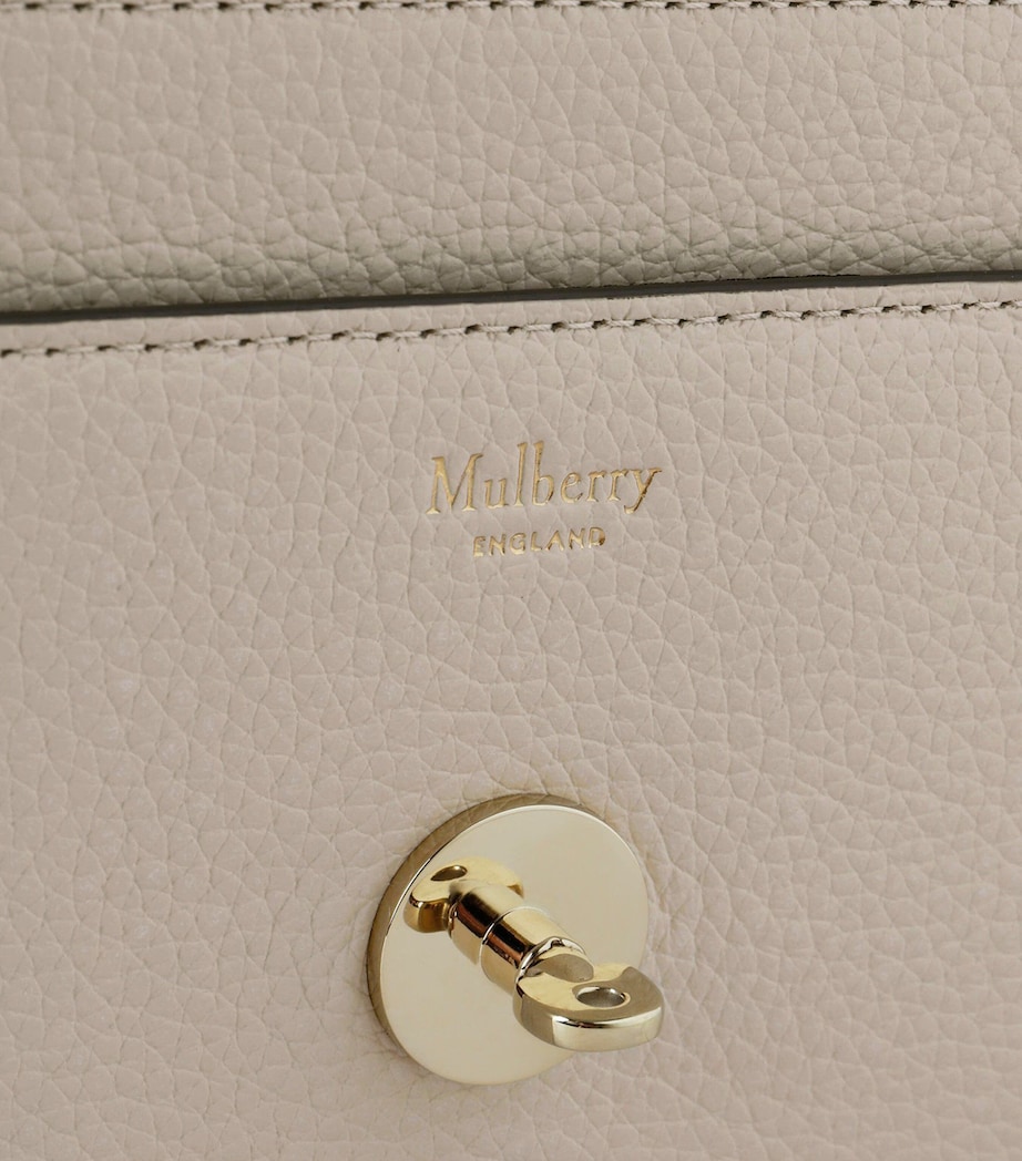 Small Leather Darley Cross-Body Bag CHALK Image 5